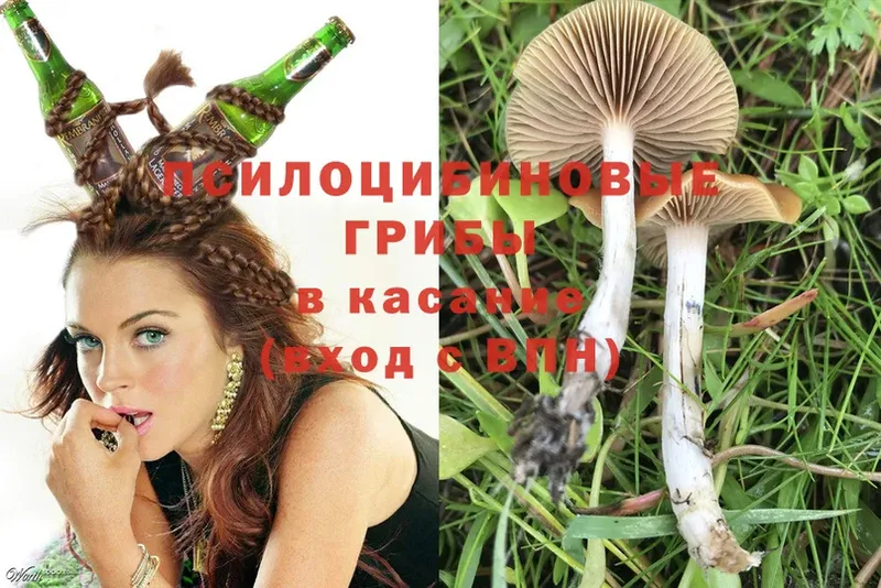 blacksprut ТОР  Дрезна  Псилоцибиновые грибы MAGIC MUSHROOMS  купить наркоту 